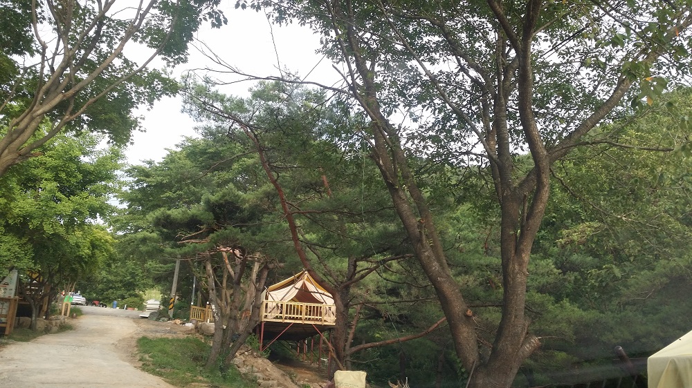 �йи� ����.jpg